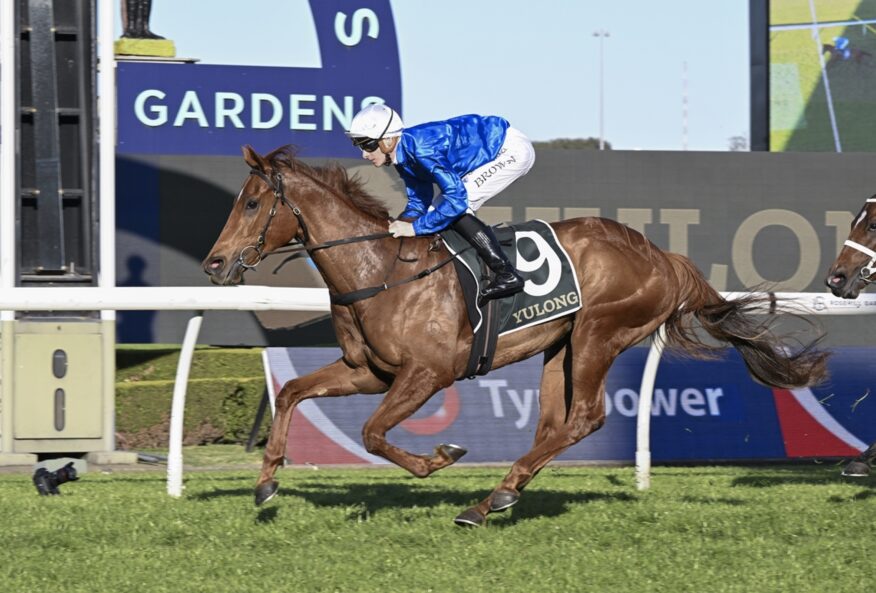 2025 Golden Rose Stakes Day Tips & Preview