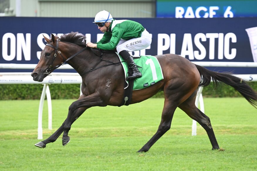 2026 Tattersall's Tiara Day Tips & Preview