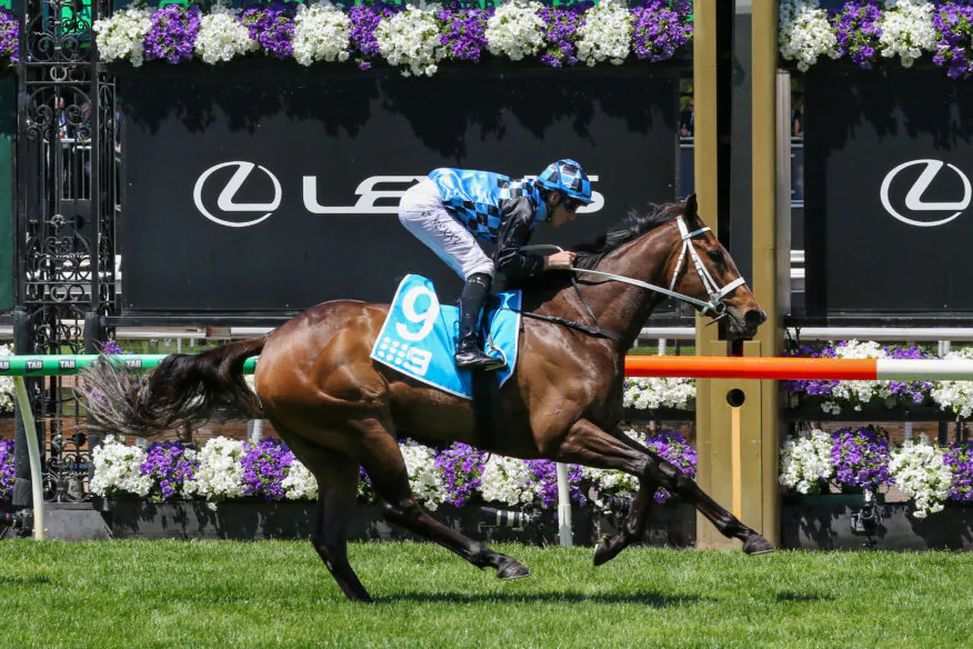 2026 Queensland Oaks Day Tips & Preview