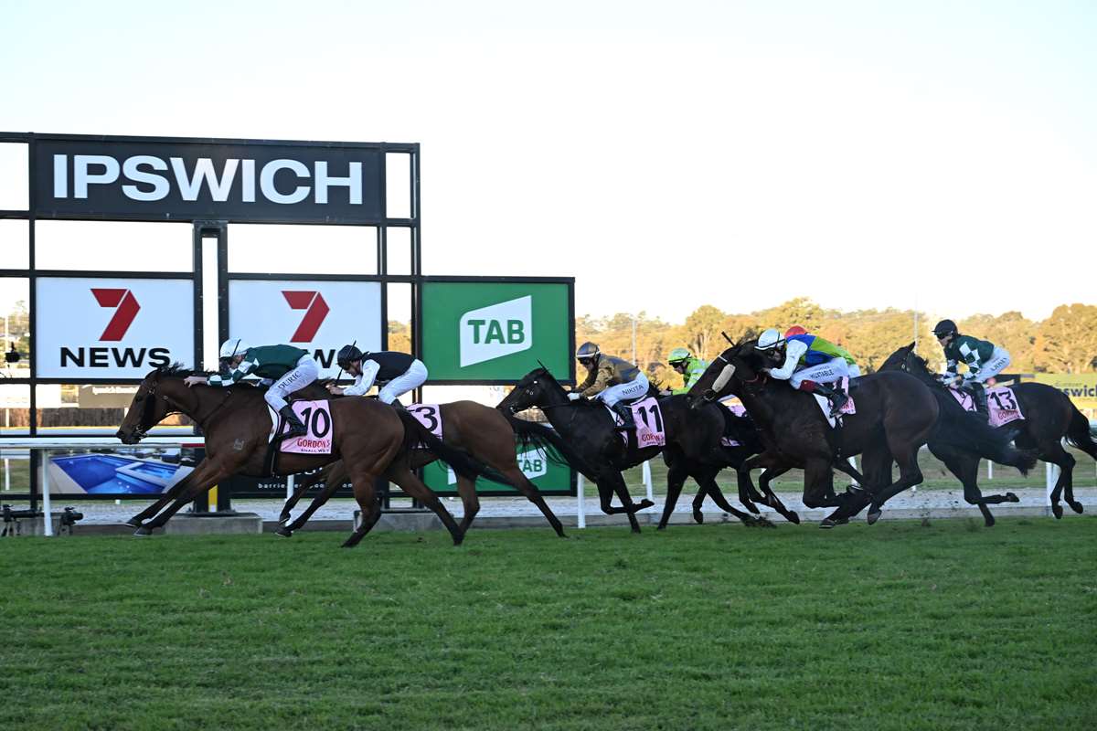 2026 Ipswich Cup Day Tips & Preview - Neds Blog