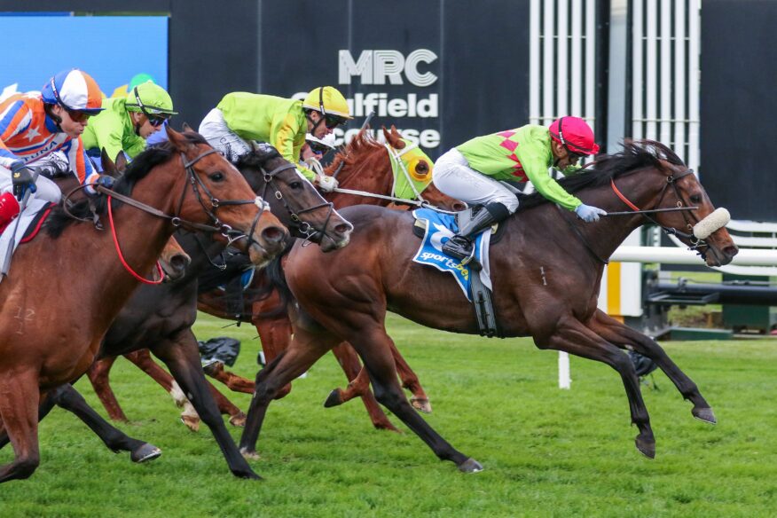 Bletchingly Stakes 2026 Betting Tips, Predictions & Favourites
