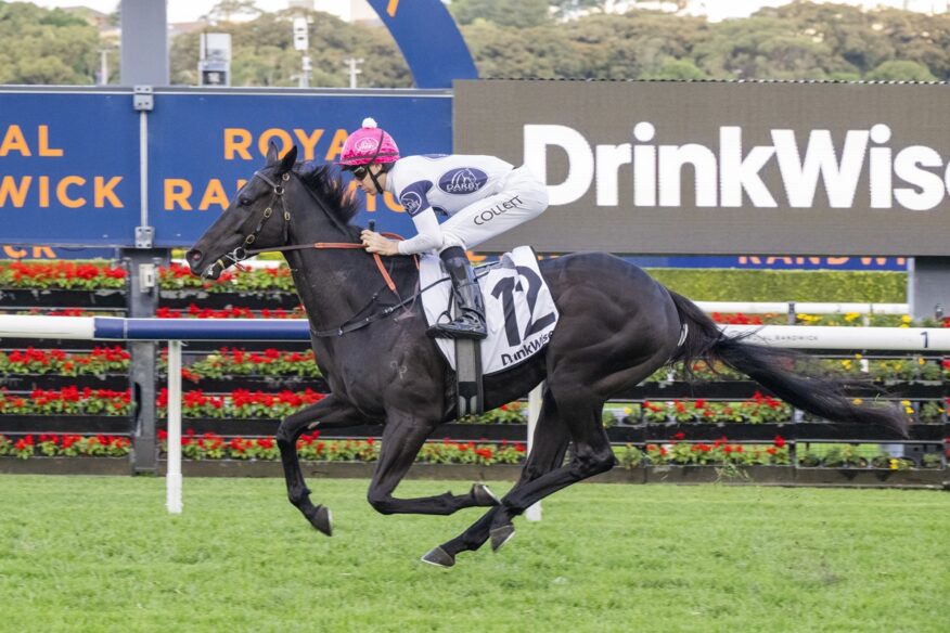 2026 Winter Stakes Day Tips & Preview