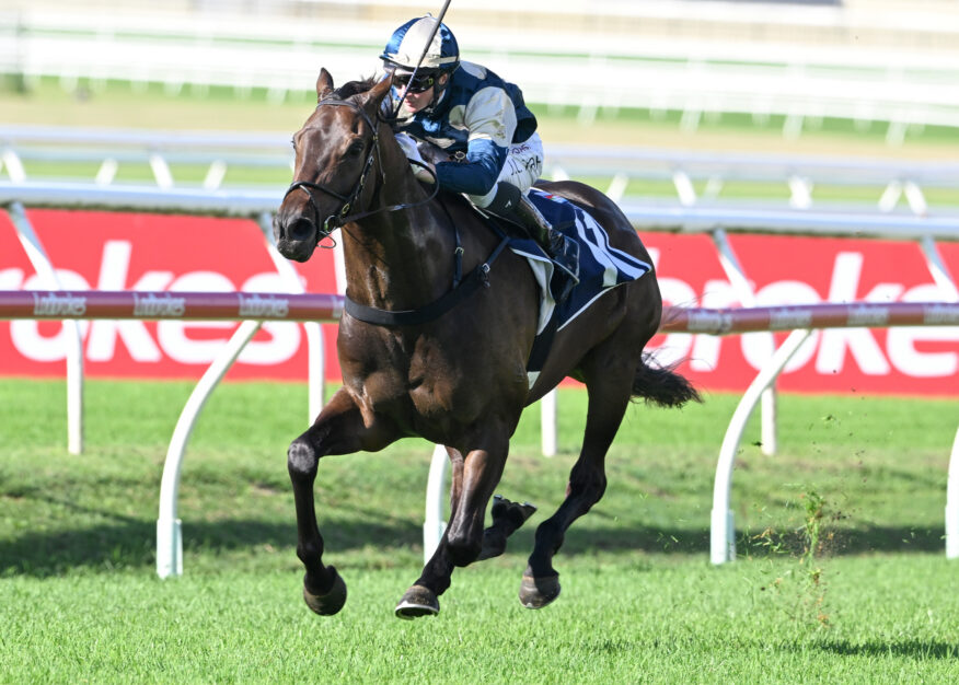 Doomben Tips & Preview -  Saturday, August 1