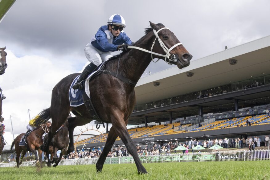 Rosehill Tips & Preview - Saturday, August 1