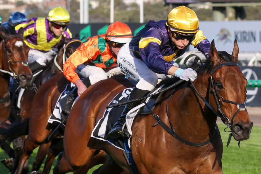 2026 Aurie's Star Handicap Day Tips & Preview
