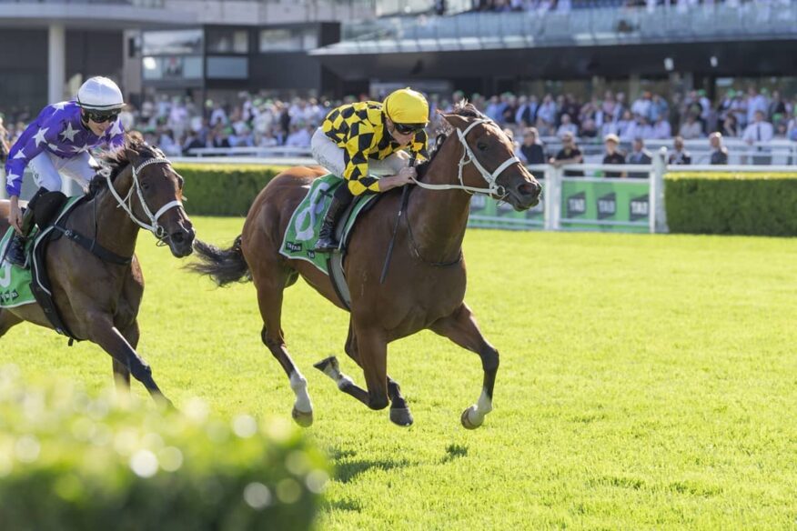 Winx Stakes 2026 Betting Tips, Predictions & Favourites