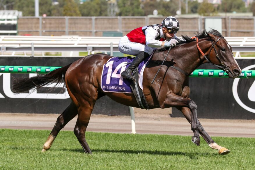 Sir Rupert Clarke Stakes 2026 Betting Tips, Predictions & Favourites