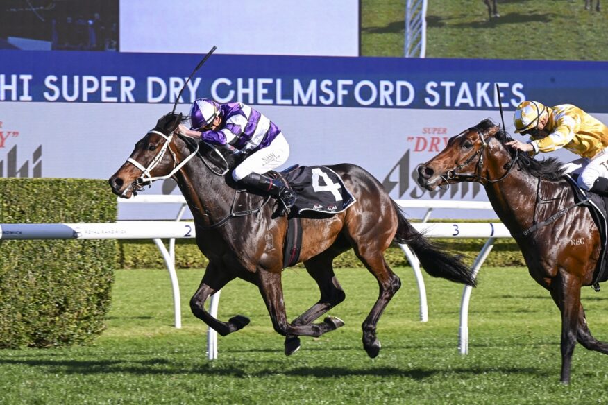 2026 Chelmsford Stakes Day Tips & Preview