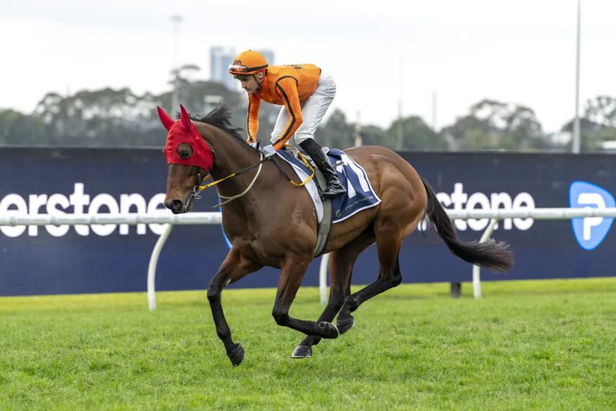 2026 Weetwood Day Tips & Preview
