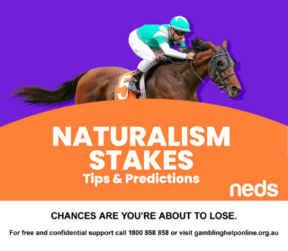Naturalism Stakes