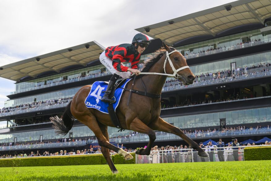 2026 Underwood Stakes Day Tips & Preview