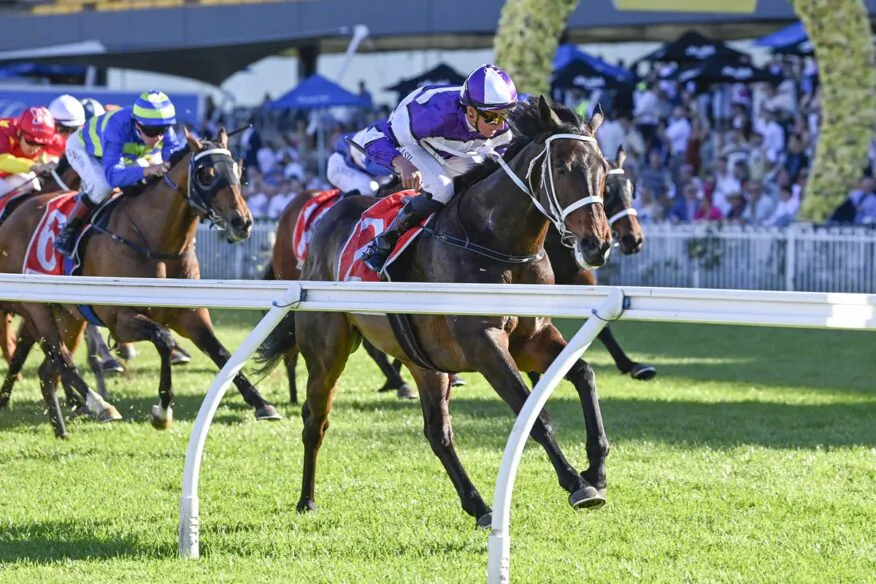2026 Hill Stakes Day Tips & Preview