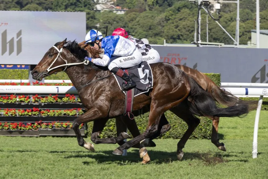 Eagle Farm Tips & Preview | Saturday 24 October