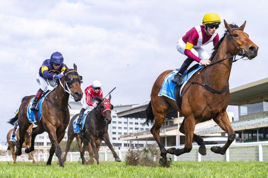 Queensland Cup Day Tips & Preview | Saturday 10 October