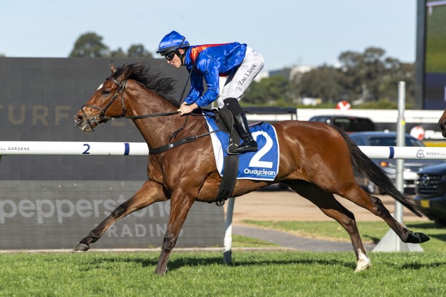 Doomben Tips & Preview | Saturday 17 October