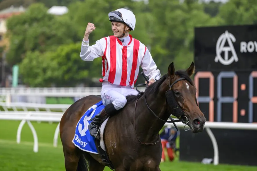 2026 Spring Champion Stakes Day Tips & Preview