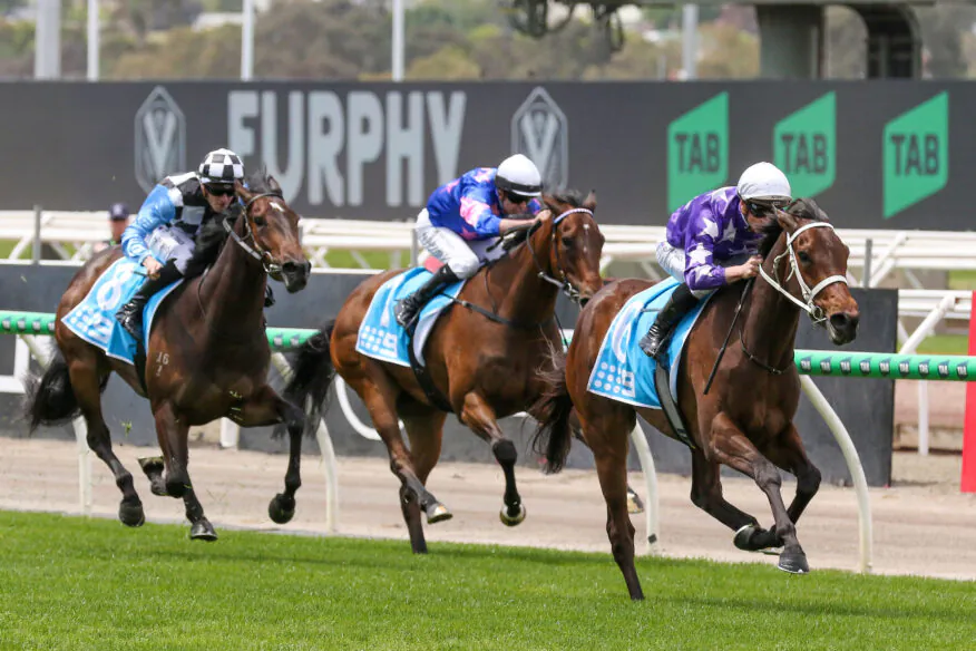 2026 Cox Plate Day Tips & Preview