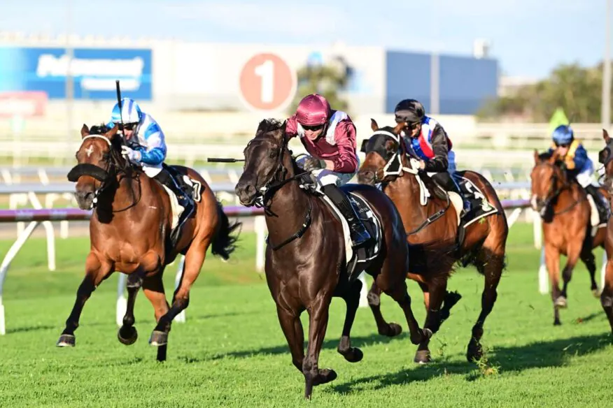 Doomben Tips & Preview | Saturday 31 October