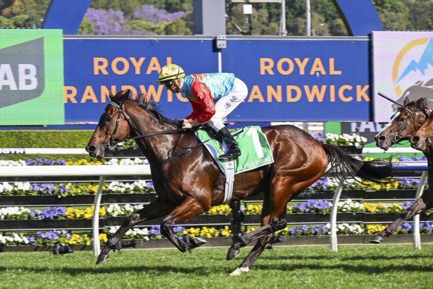 2026 The Everest Day Tips & Preview