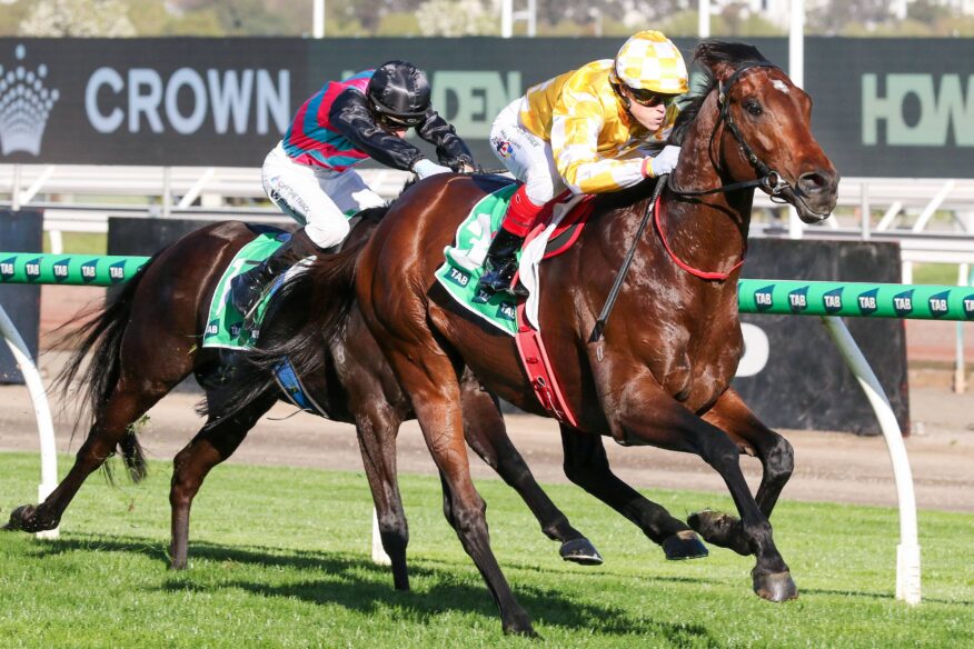 Turnbull Stakes 2026 Betting Tips, Predictions & Favourites
