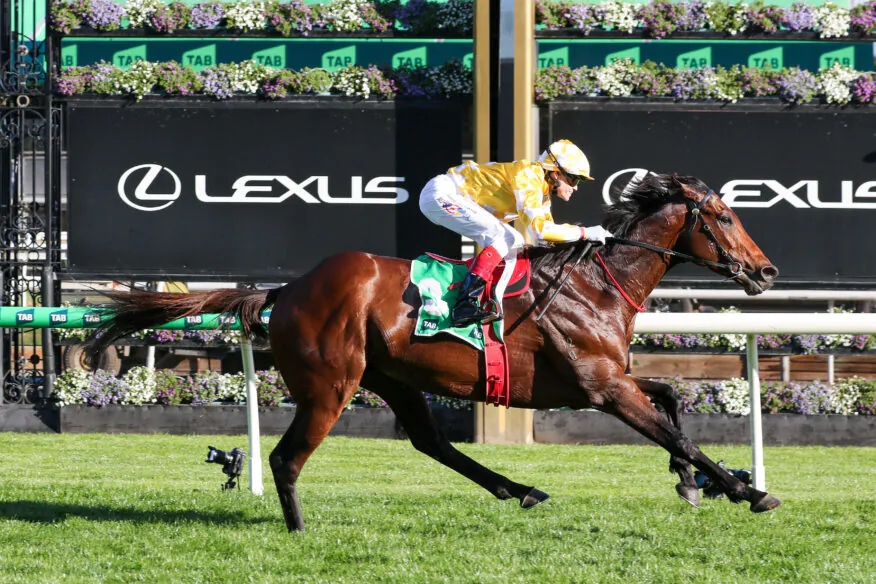 2026 Turnbull Stakes Day Tips & Preview